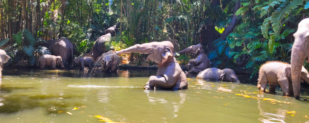 Jungle Cruise